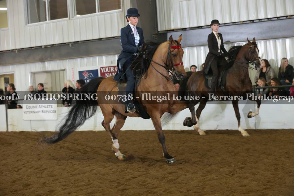 Proof Number 18OHIOSPRING_00738