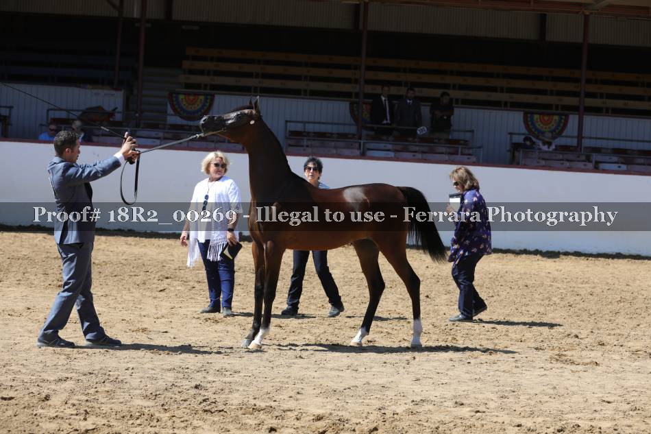 Proof Number 18R2_00269