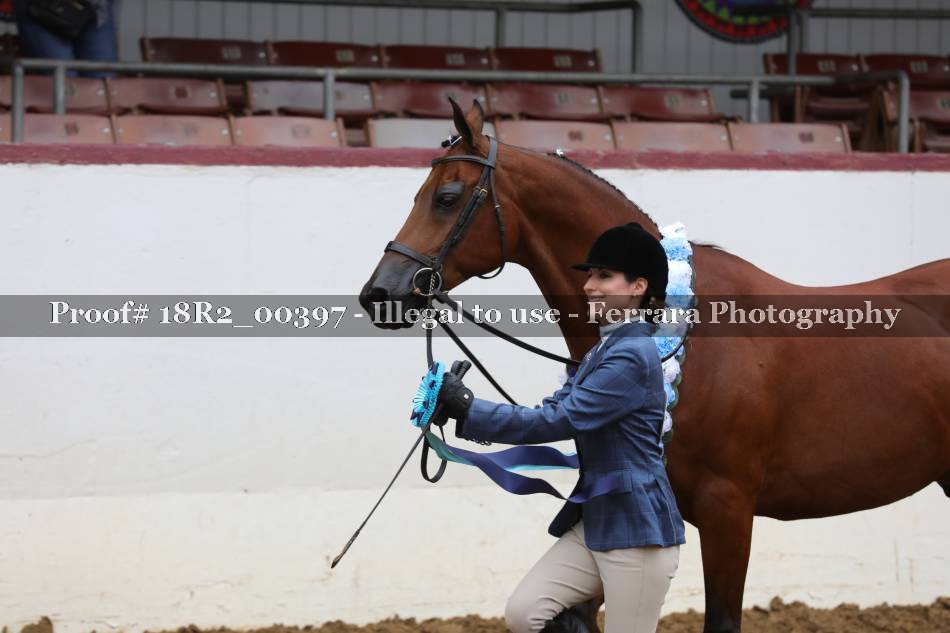 Proof Number 18R2_00397