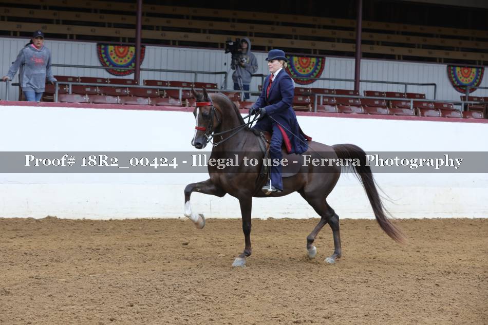 Proof Number 18R2_00424