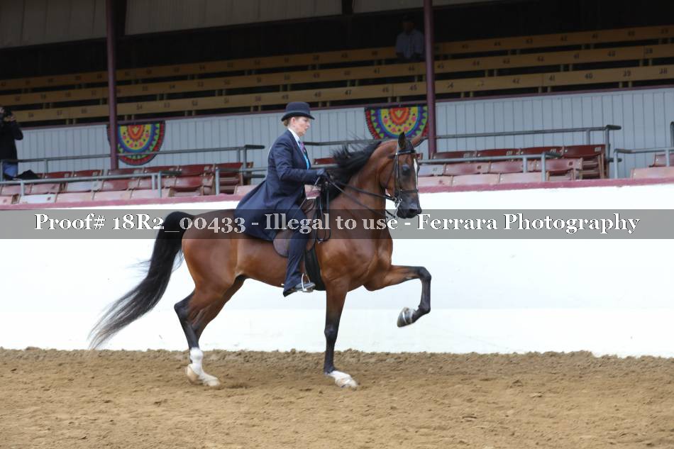 Proof Number 18R2_00433