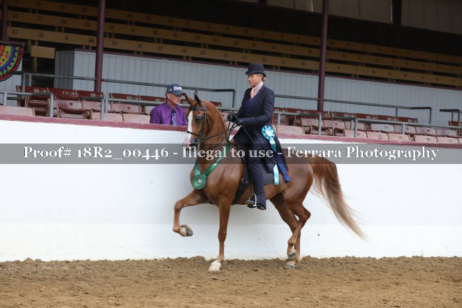 Proof Number 18R2_00446