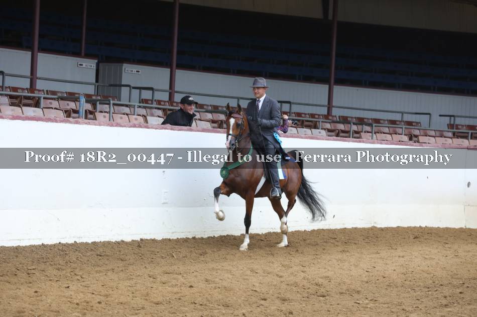Proof Number 18R2_00447