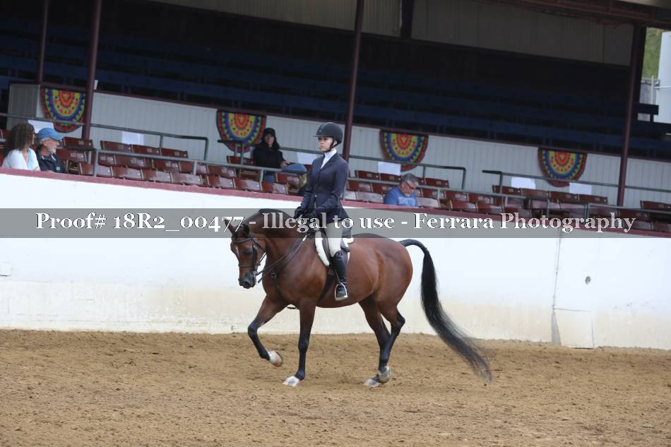 Proof Number 18R2_00477