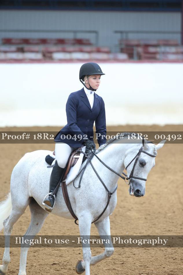 Proof Number 18R2_00492