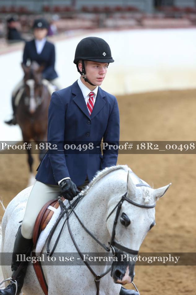 Proof Number 18R2_00498