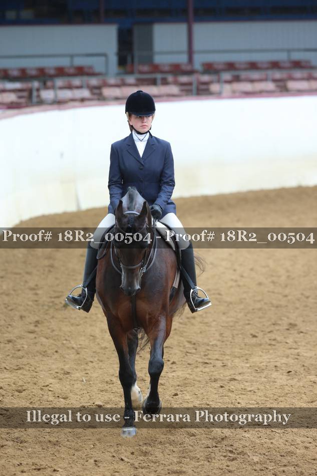 Proof Number 18R2_00504