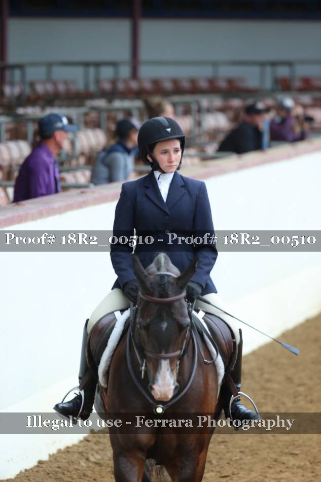 Proof Number 18R2_00510