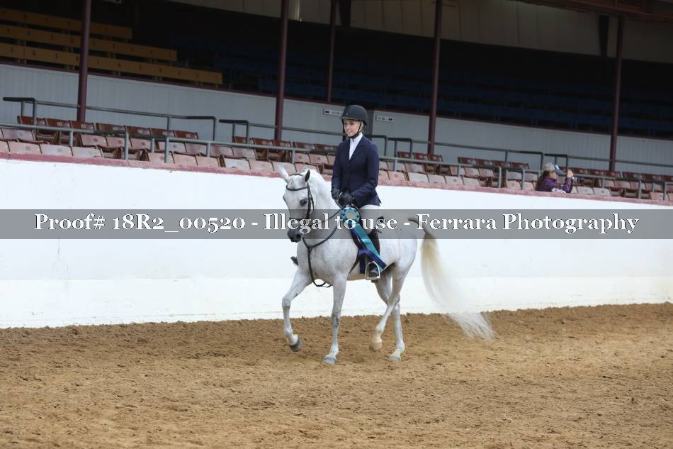 Proof Number 18R2_00520