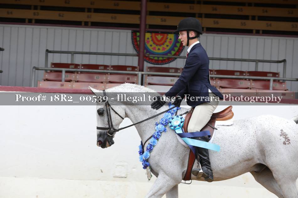 Proof Number 18R2_00539