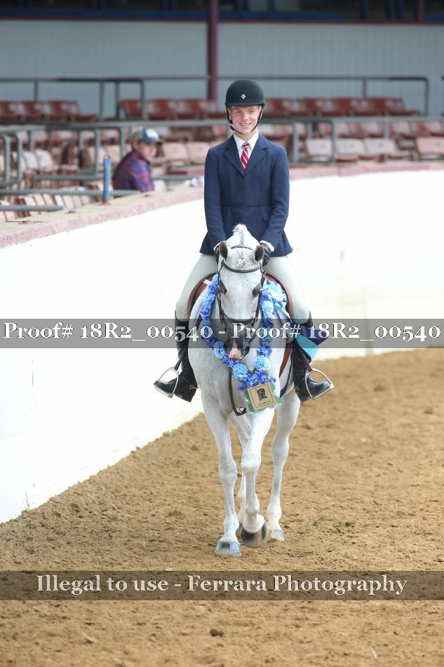 Proof Number 18R2_00540