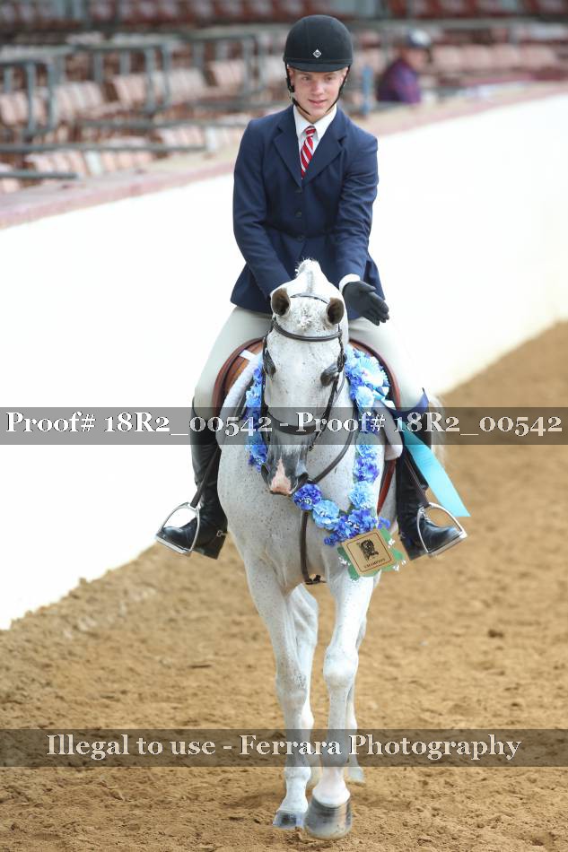 Proof Number 18R2_00542