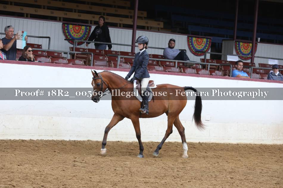 Proof Number 18R2_00569
