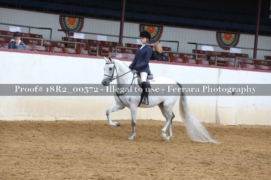 Proof Number 18R2_00572