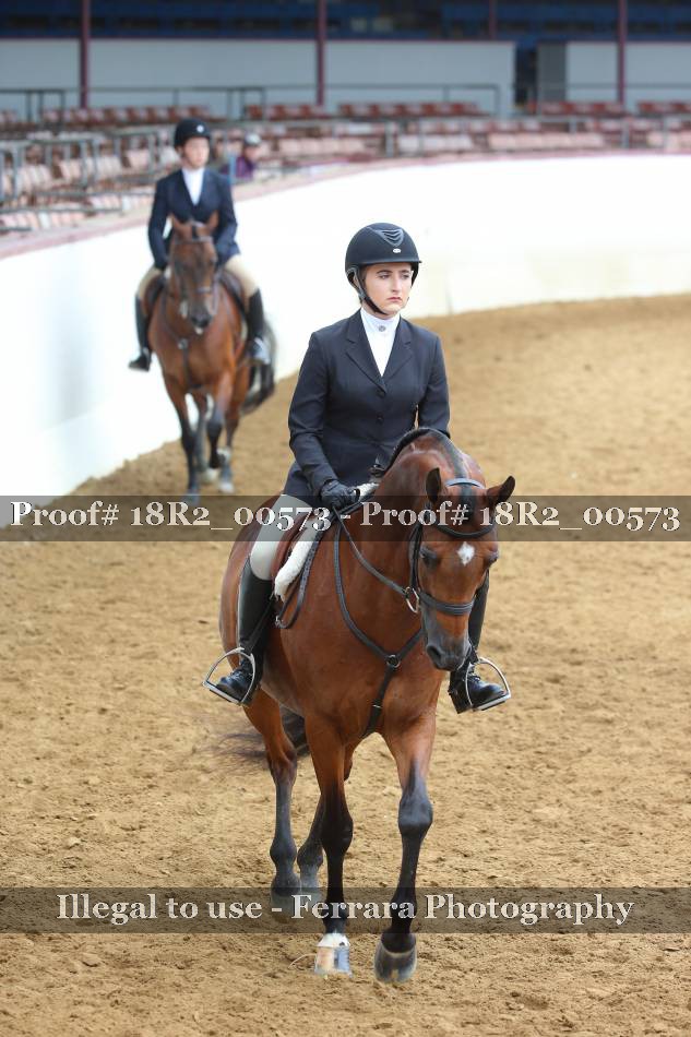 Proof Number 18R2_00573