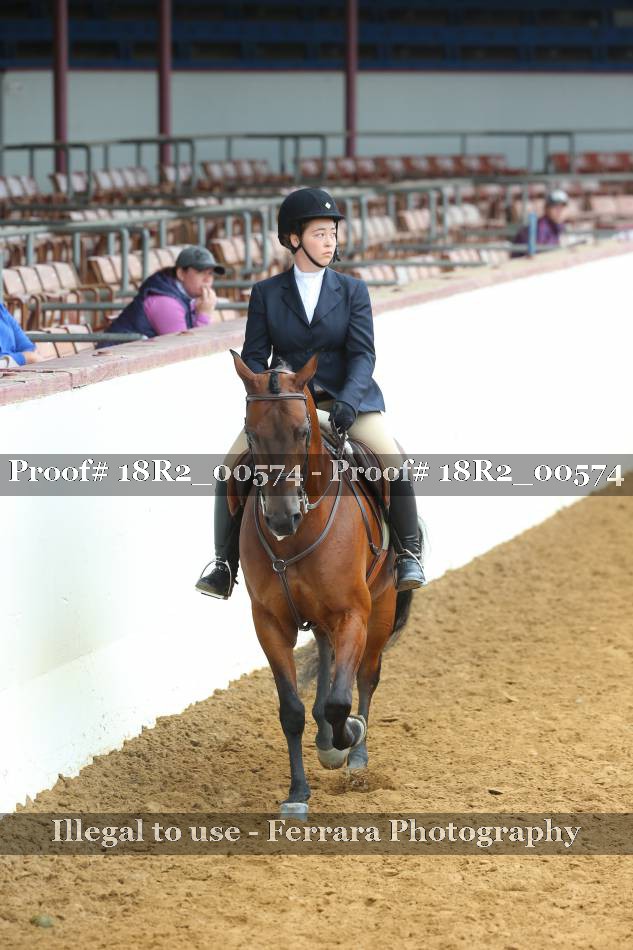 Proof Number 18R2_00574