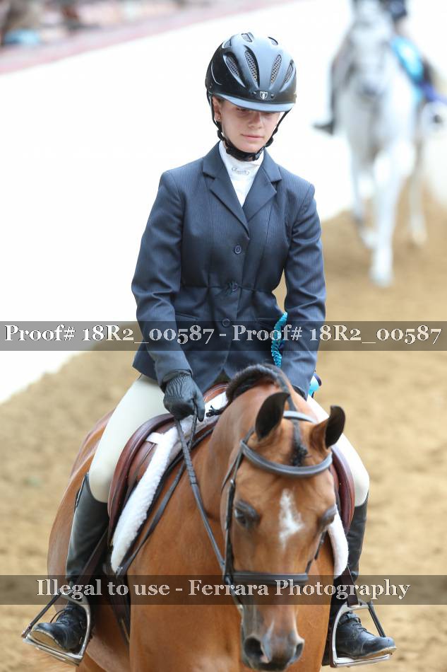 Proof Number 18R2_00587