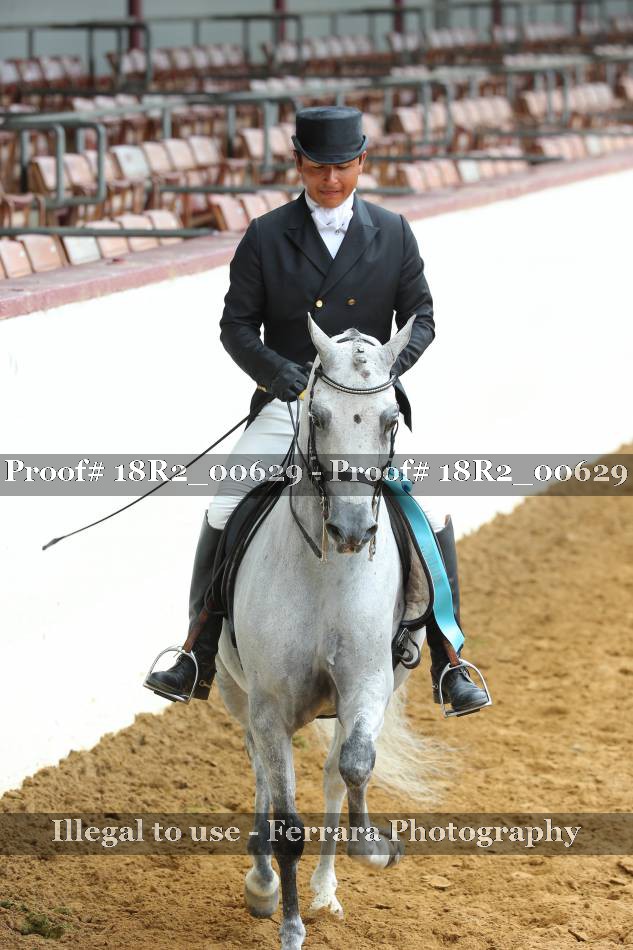 Proof Number 18R2_00629