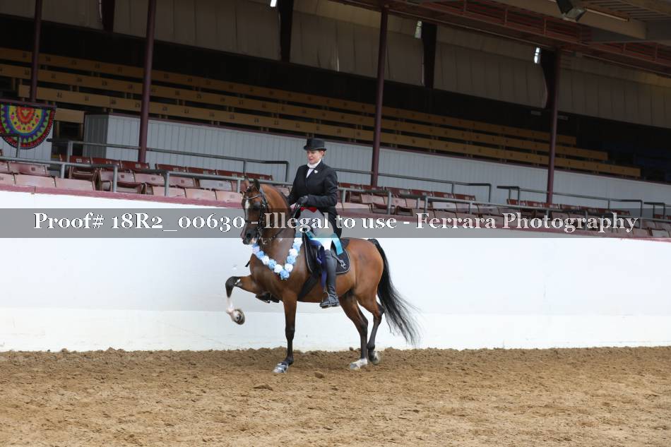 Proof Number 18R2_00630