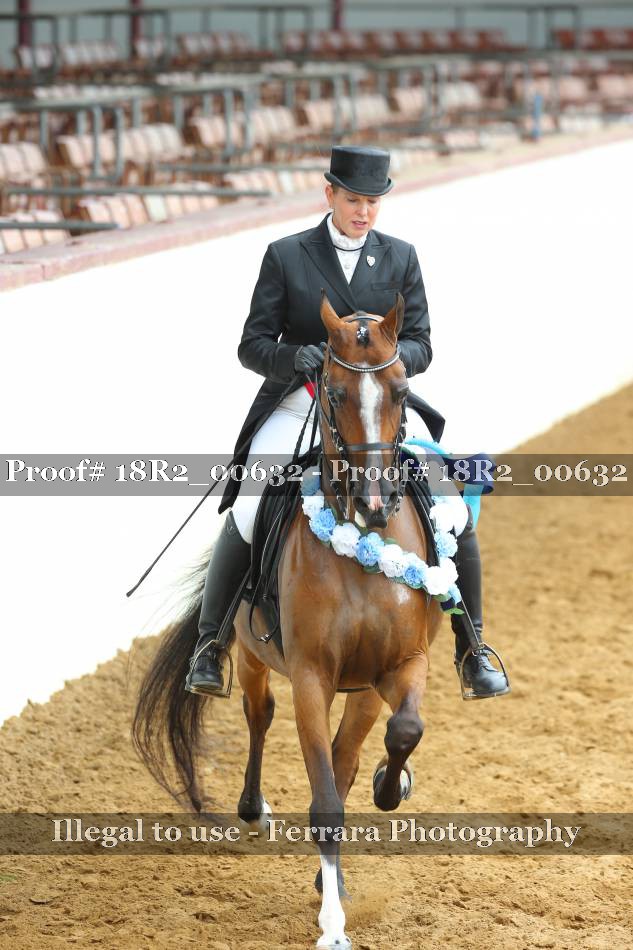 Proof Number 18R2_00632