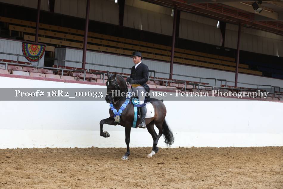 Proof Number 18R2_00633