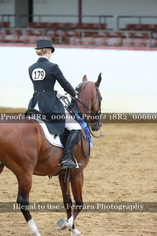 Proof Number 18R2_00660