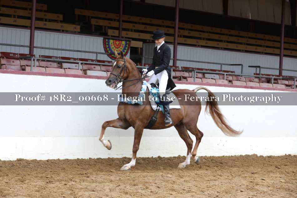 Proof Number 18R2_00668