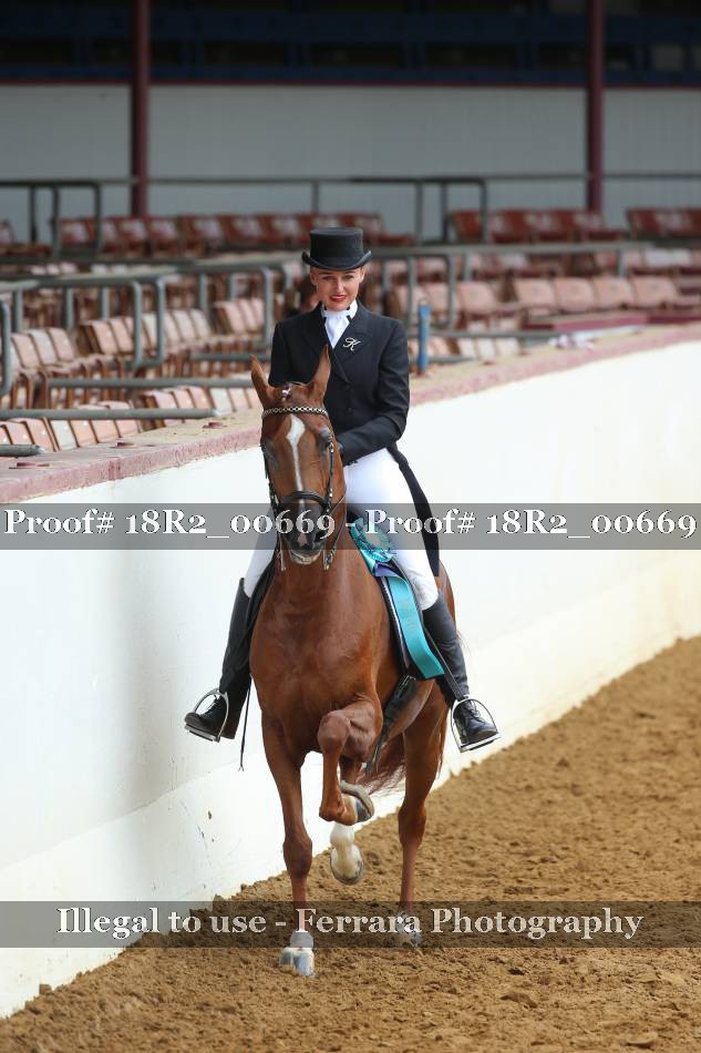Proof Number 18R2_00669