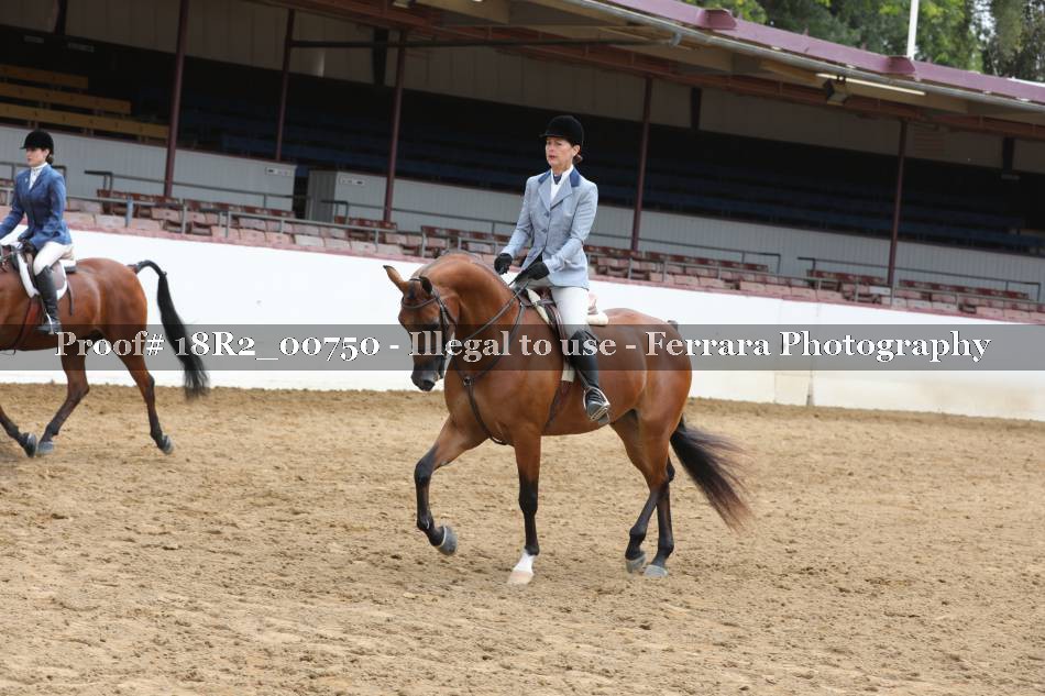 Proof Number 18R2_00750