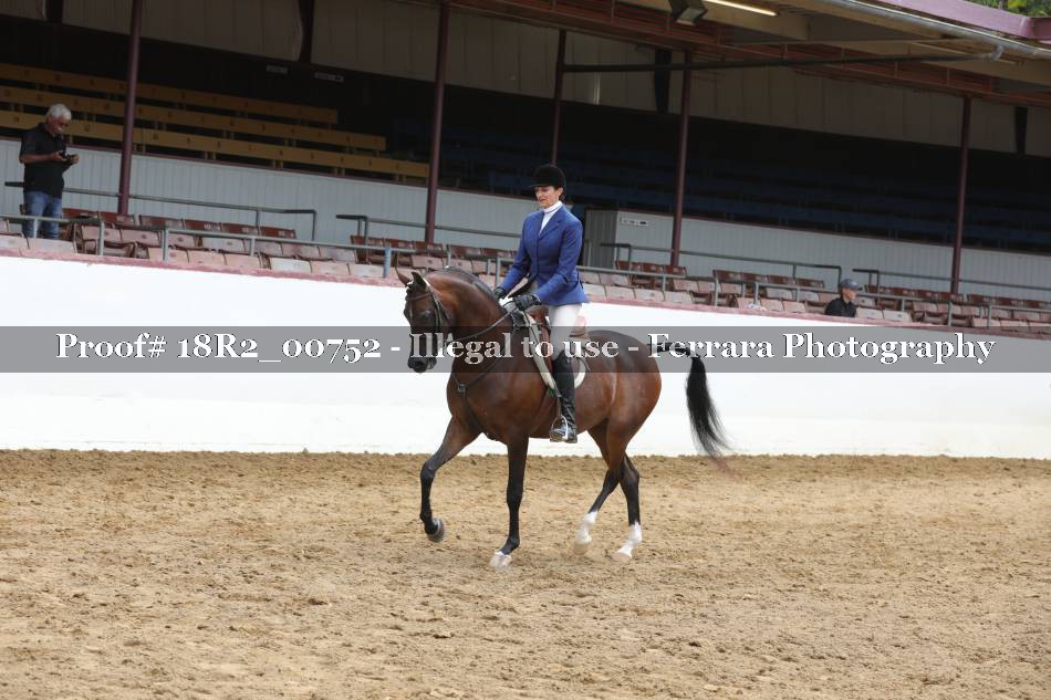 Proof Number 18R2_00752