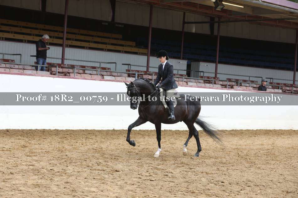 Proof Number 18R2_00759