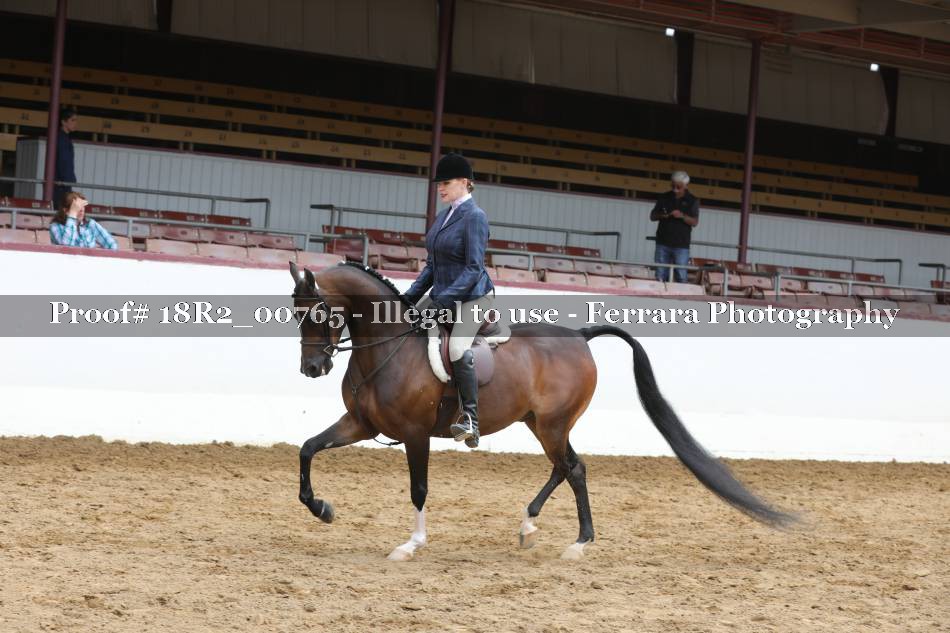 Proof Number 18R2_00765