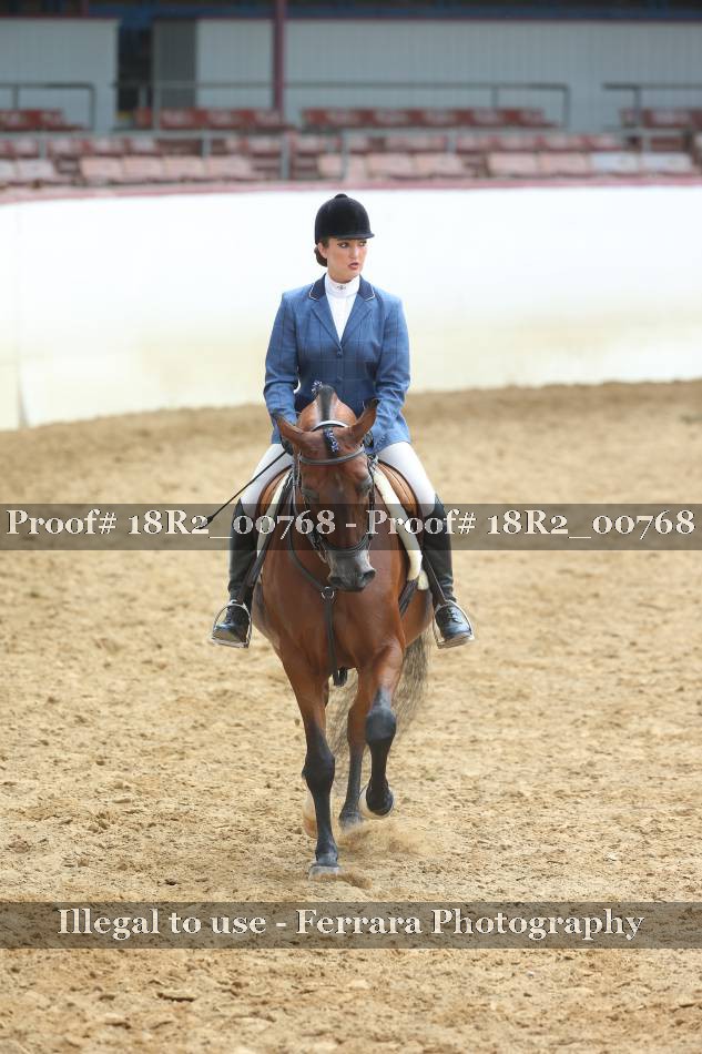 Proof Number 18R2_00768