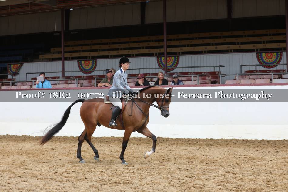 Proof Number 18R2_00772