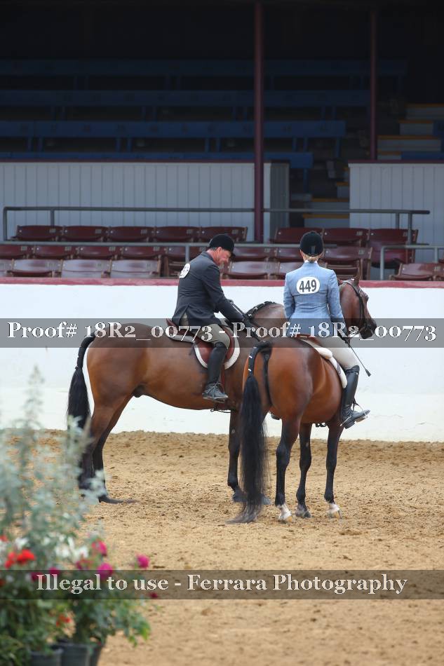 Proof Number 18R2_00773