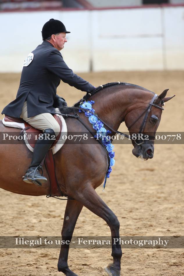 Proof Number 18R2_00778