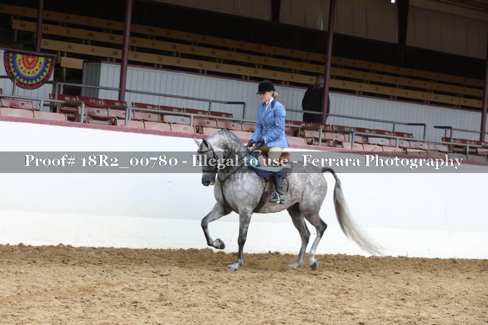 Proof Number 18R2_00780