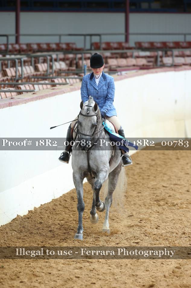 Proof Number 18R2_00783