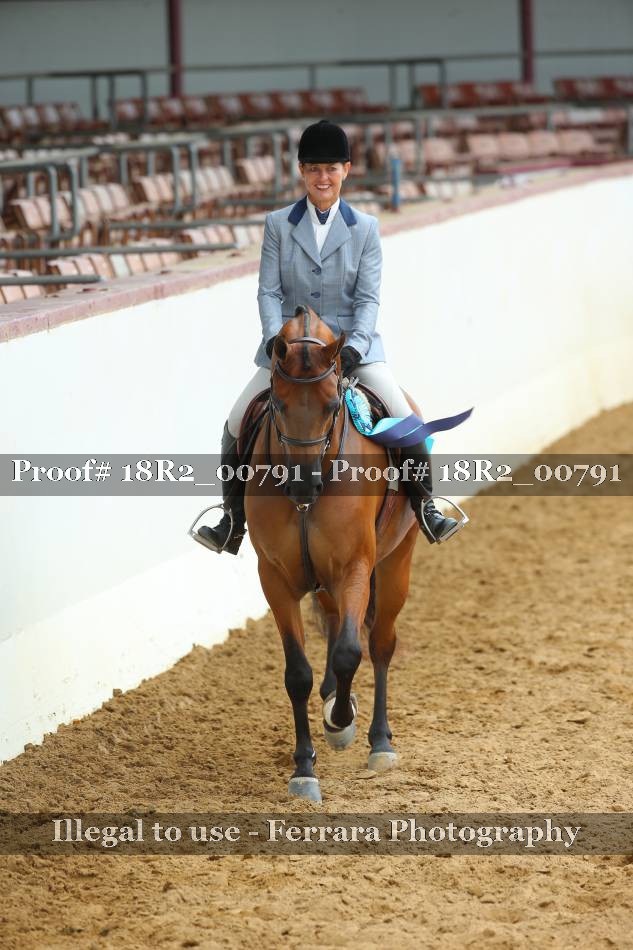 Proof Number 18R2_00791