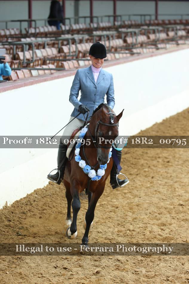 Proof Number 18R2_00795