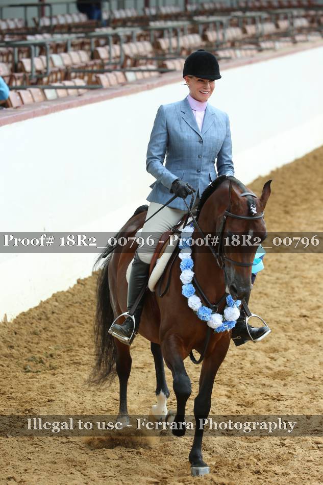 Proof Number 18R2_00796