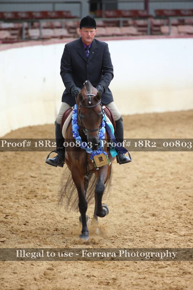 Proof Number 18R2_00803