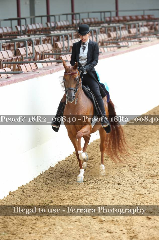 Proof Number 18R2_00840