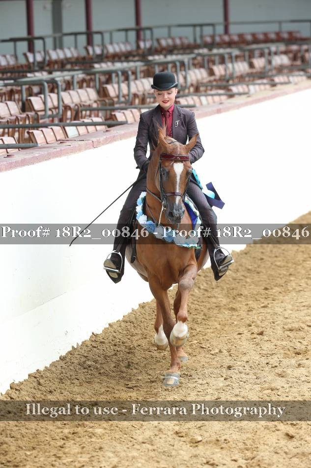 Proof Number 18R2_00846