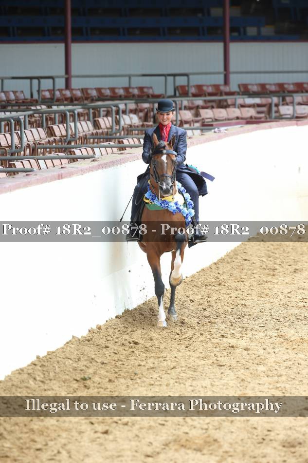 Proof Number 18R2_00878