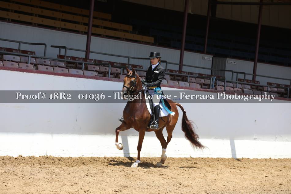 Proof Number 18R2_01036
