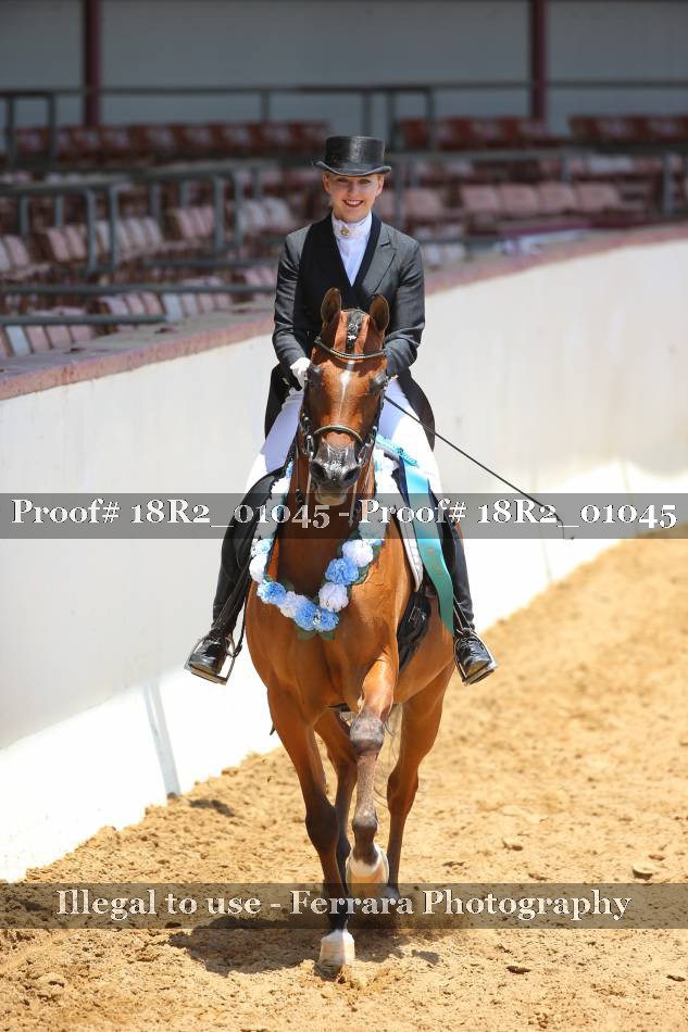 Proof Number 18R2_01045