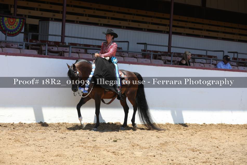 Proof Number 18R2_01093