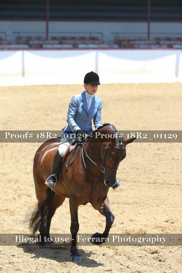 Proof Number 18R2_01129