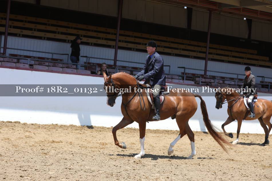Proof Number 18R2_01132